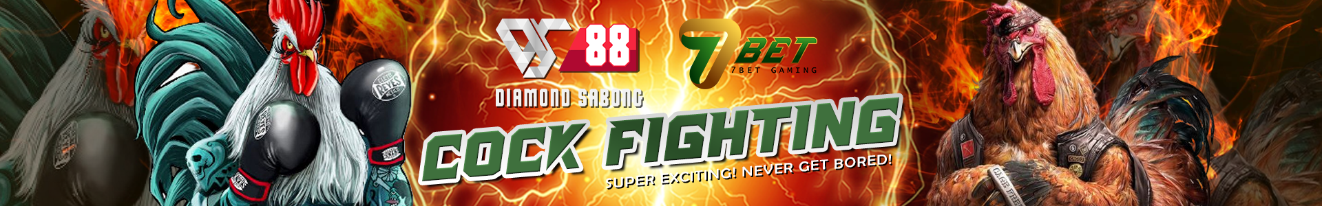 36b9b8211660187dd741e8857a8d6f1a